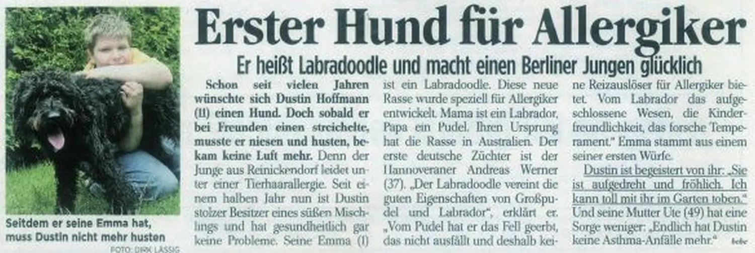 Zeitungsartikel von Dogs of Golden Kennel
