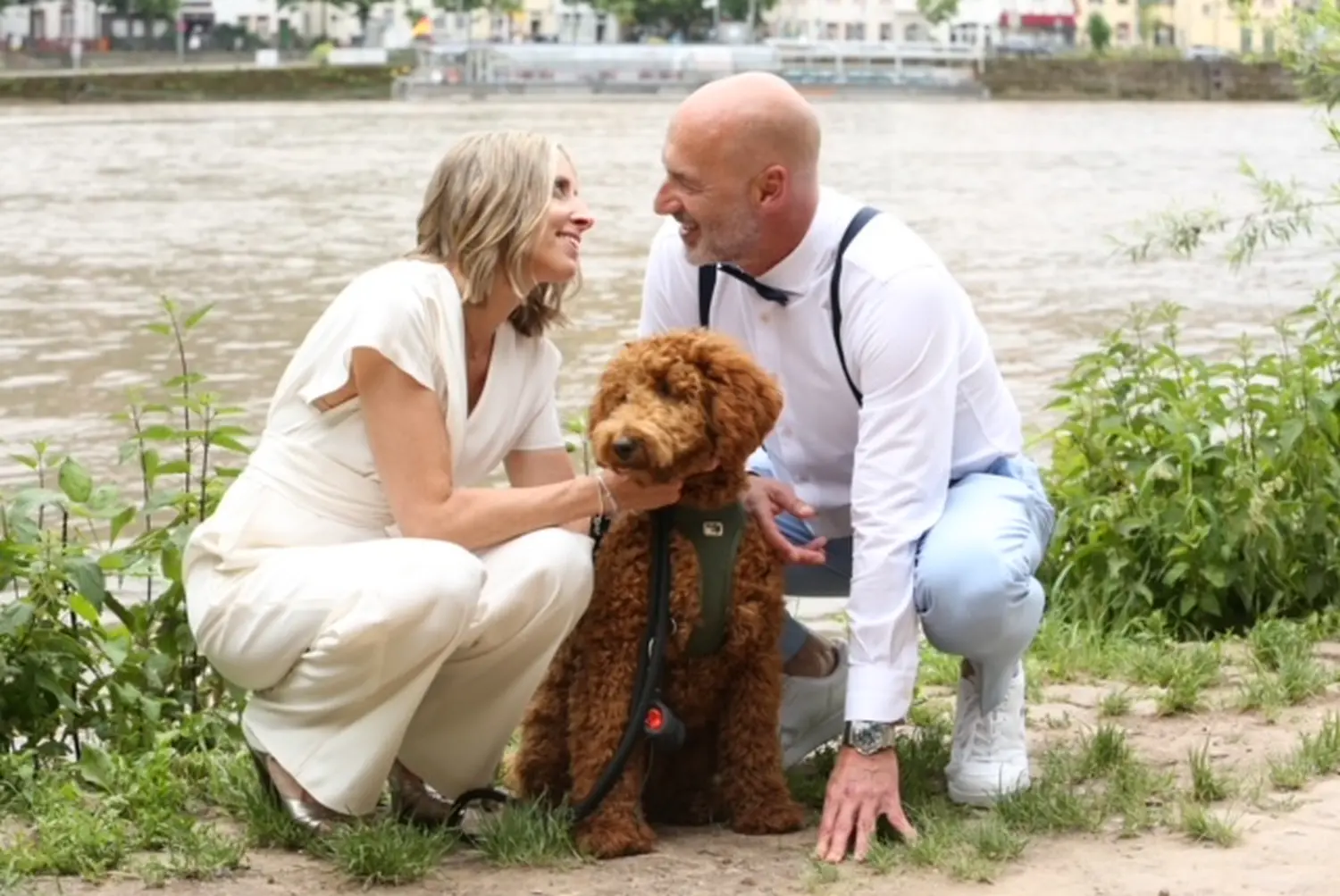 hunde von Dogs of Golden Kennel