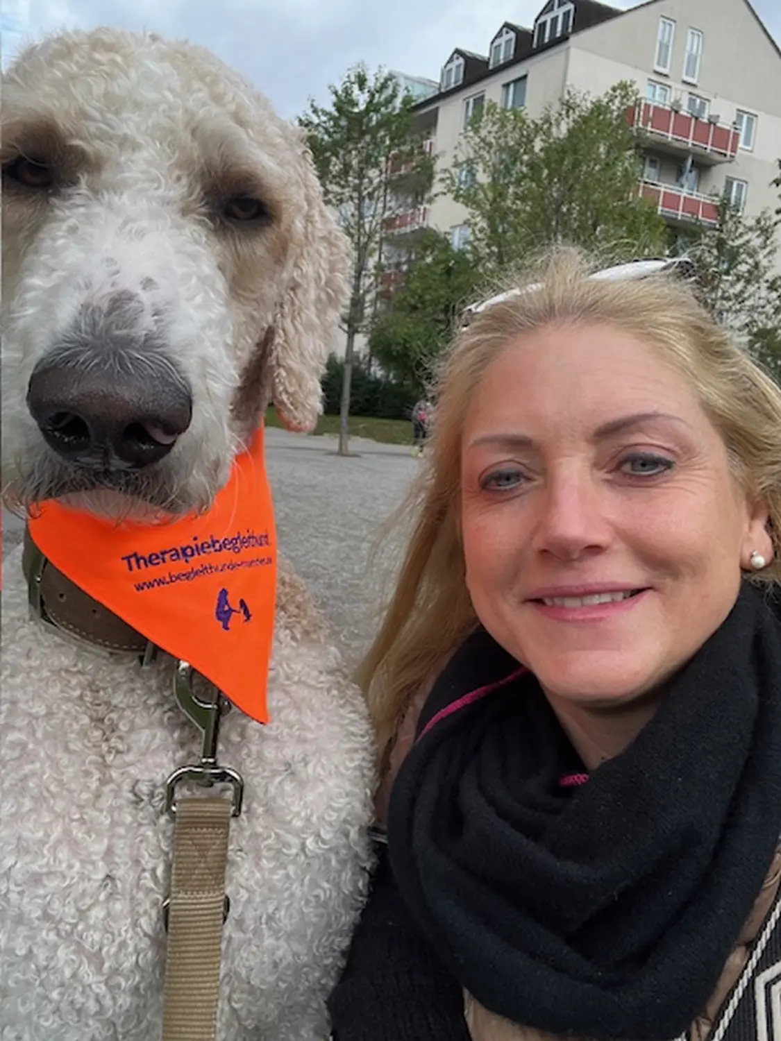 hunde von Dogs of Golden Kennel