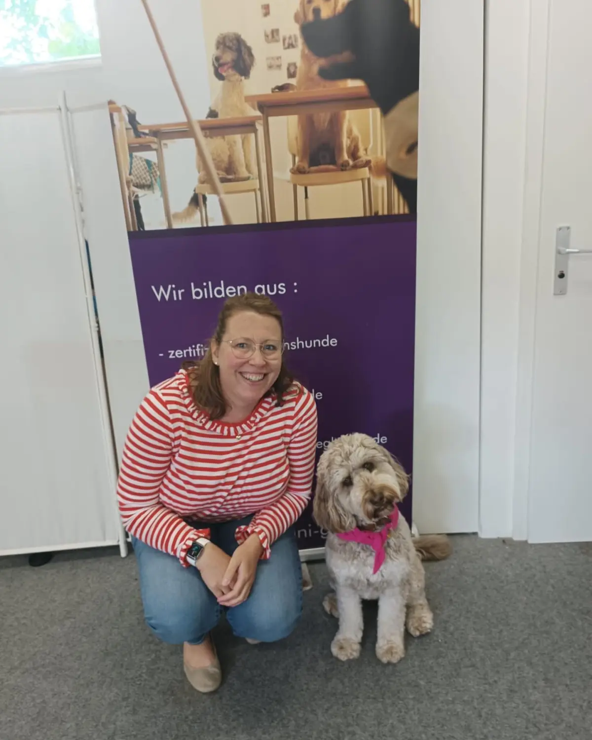 hunde von Dogs of Golden Kennel