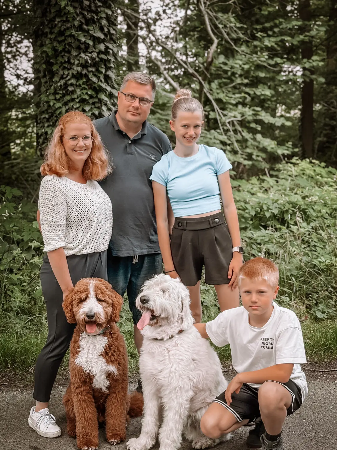 hunde von Dogs of Golden Kennel