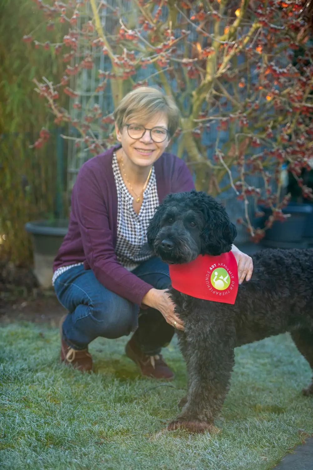 hunde von Dogs of Golden Kennel