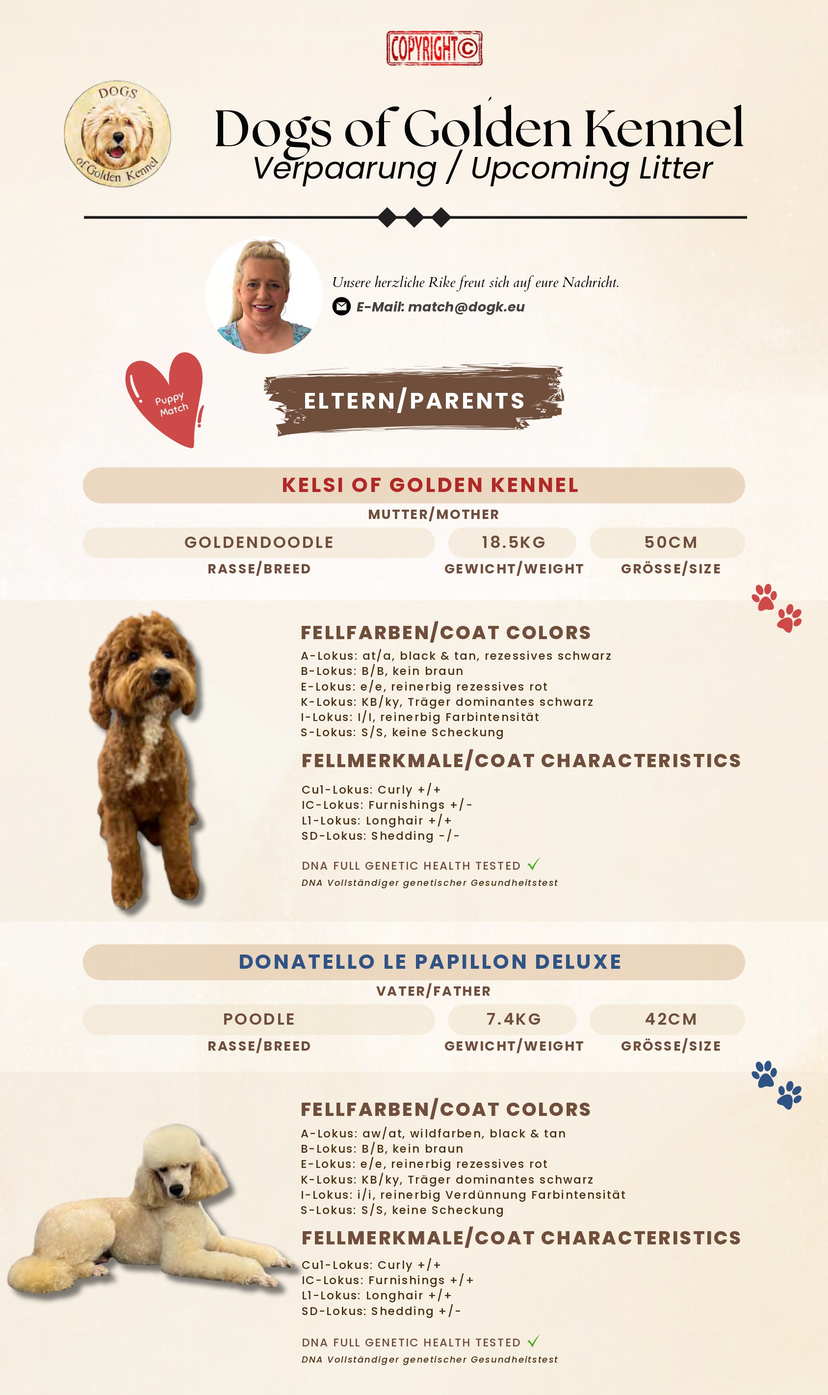 Dogs of Golden Kennel