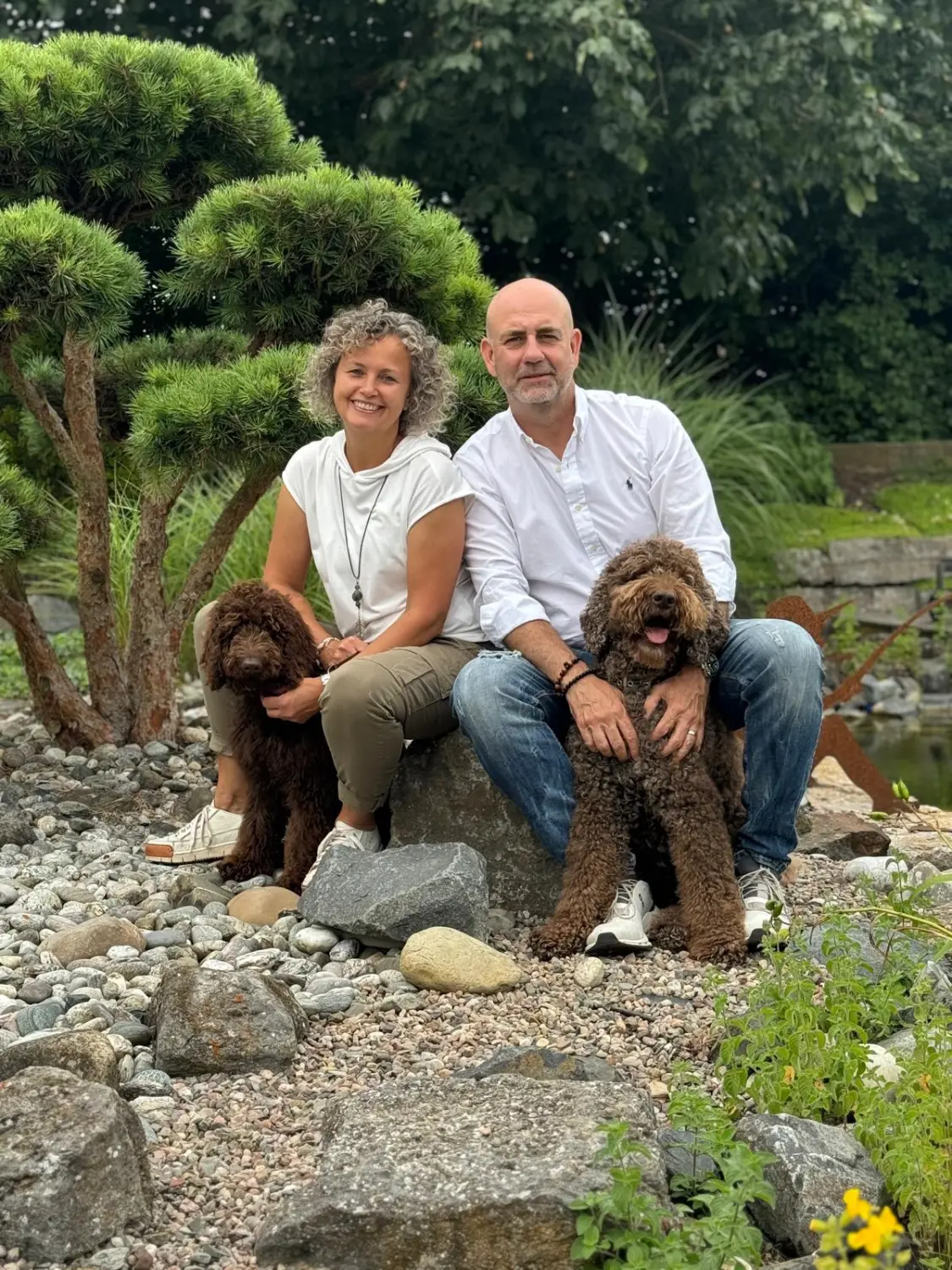 hunde von Dogs of Golden Kennel
