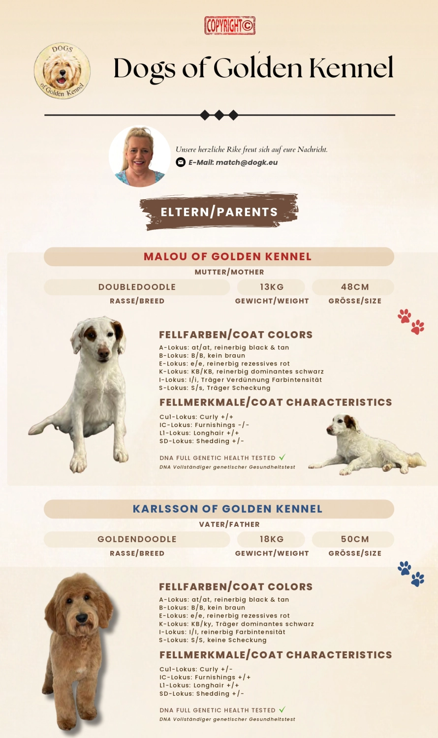 Dogs of Golden Kennel
