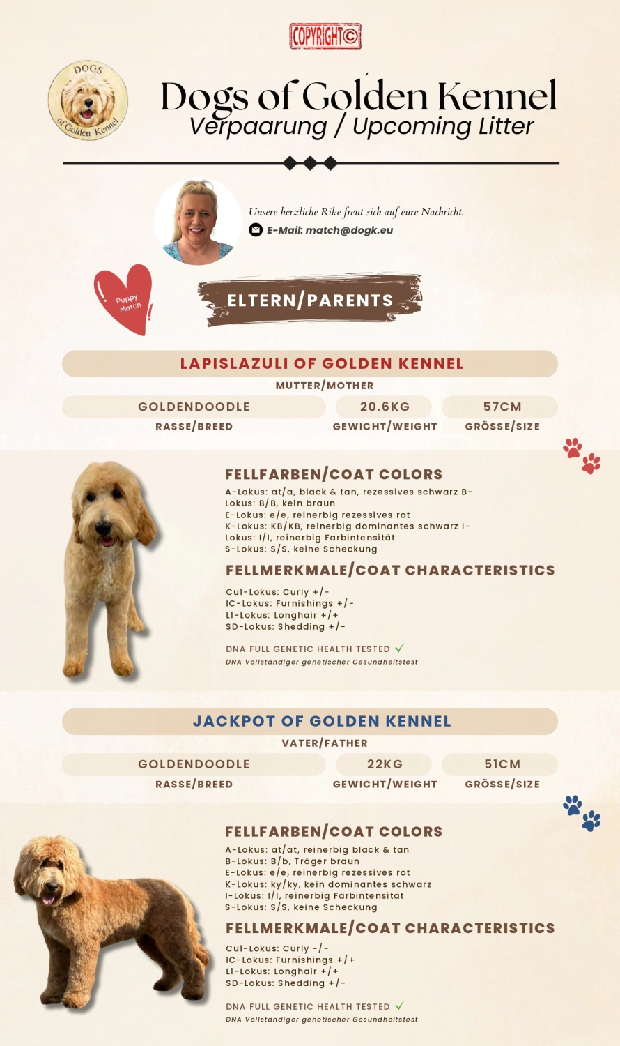Dogs of Golden Kennel